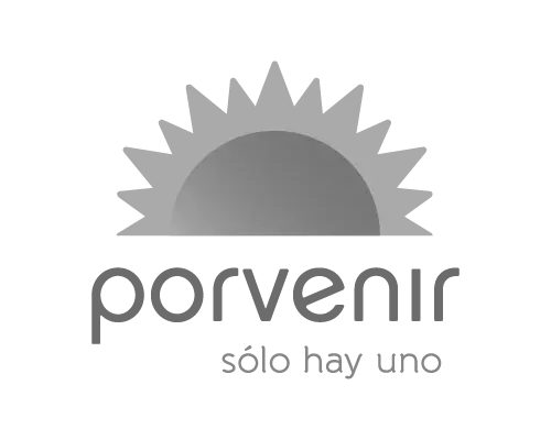 Logo Porvenir